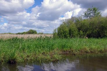 Iconographie - Pêche sur le lac de Grand-Lieu avec Dominique Guillet