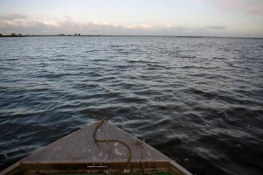 Iconographie - Pêche sur le lac de Grand-Lieu avec Fabrice Batard