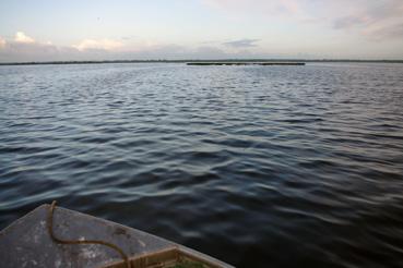 Iconographie - Pêche sur le lac de Grand-Lieu avec Fabrice Batard