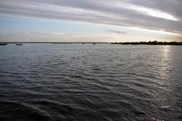 Iconographie - Pêche sur le lac de Grand-Lieu avec Fabrice Batard