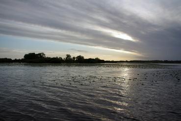 Iconographie - Pêche sur le lac de Grand-Lieu avec Fabrice Batard