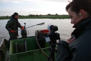 Iconographie - Pêche sur le lac de Grand-Lieu avec Fabrice Batard