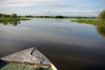 Iconographie - Pêche sur le lac de Grand-Lieu avec Fabrice Batard