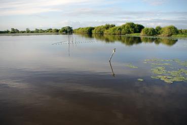 Iconographie - Pêche sur le lac de Grand-Lieu avec Fabrice Batard