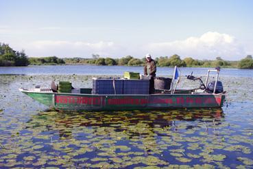 Iconographie - Pêche sur le lac de Grand-Lieu avec Dominique Guillet