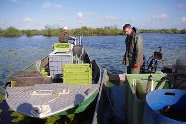 Iconographie - Pêche sur le lac de Grand-Lieu avec Dominique Guillet et Fabrice Batard