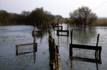 Iconographie - Pêche à la bosselle - barrage à bosselle (ramaille)
