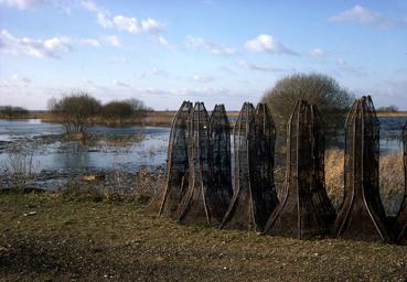 Iconographie - Bosselles entreposées au port d'hiver de Passay