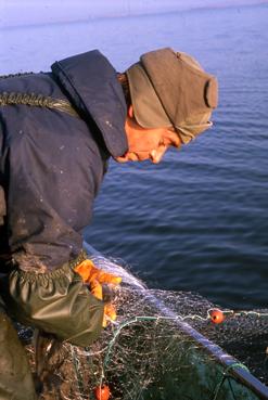 iconographie - Dominique Robion, pêcheur du lac de Grand-Lieu