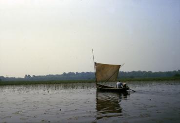 Iconographie - A la voile sur le lac de Grand-Lieu avec André Garreau, dit Layoutte