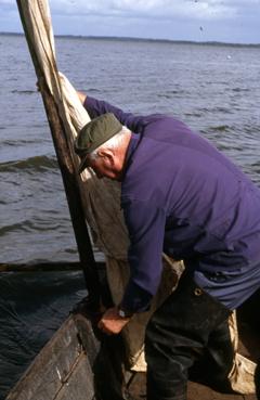 Iconographie - A la voile sur le lac de Grand-Lieu avec André Garreau, dit Layoutte