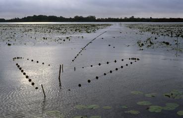 Iconographie - Verveux à poste