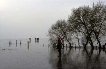 Iconographie - Lac de Grand-Lieu gelé en janvier à Pierre Aigüe