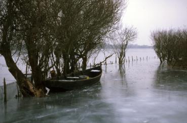 iconographie - Lac de Grand-Lieu gelé en janvier à Pierre-Aigüe