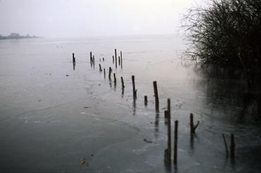 Iconographie - Lac de Grand-Lieu gelé en janvier à Pierre-Aigüe