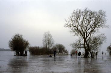 Iconographie - Lac de Grand-Lieu gelé en janvier à Pierre-Aigüe