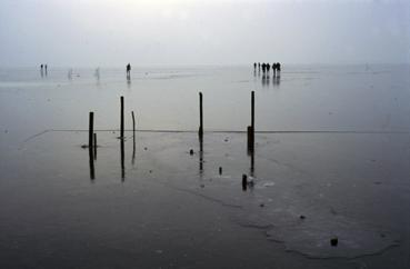 Iconographie - Lac de Grand-Lieu gelé en janvier à Pierre-Aigüe