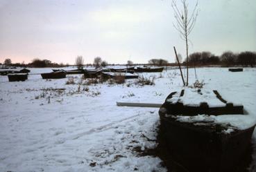 Iconographie - Lac de Grand-Lieu gelé à Passay en hiver 1985