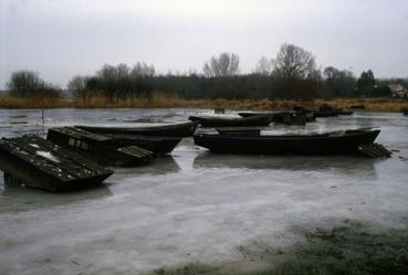 Iconographie - Lac de Grand-Lieu gelé à Passay en février