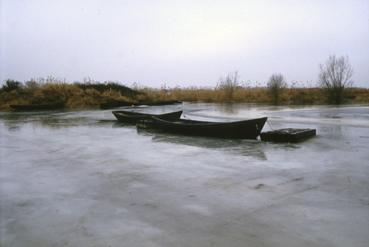 Iconographie - Lac de Grand-Lieu gelé à Passay en février