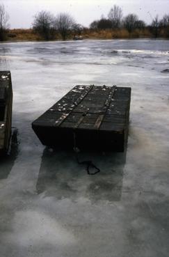Iconographie - Lac de Grand-Lieu gelé à Passay en février