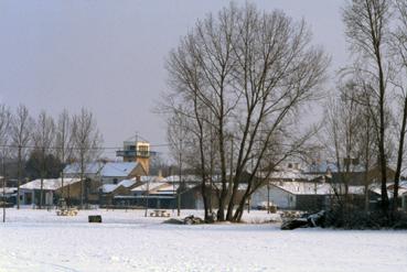 Iconographie - Lac de Grand-Lieu gelé à Passay en février
