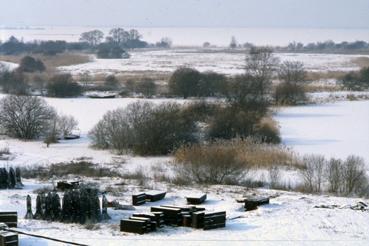 Iconographie - Lac de Grand-Lieu gelé à Passay en février