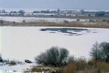 Iconographie - Lac de Grand-Lieu gelé à Passay en février