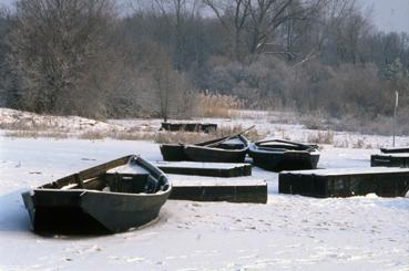 Iconographie - Lac de Grand-Lieu gelé à Passay en février