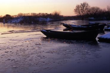 Iconographie - Lac de Grand-Lieu gelé à Passay en janvier