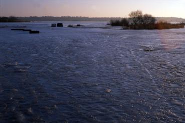 Iconographie - Lac de Grand-Lieu gelé à Passay en janvier
