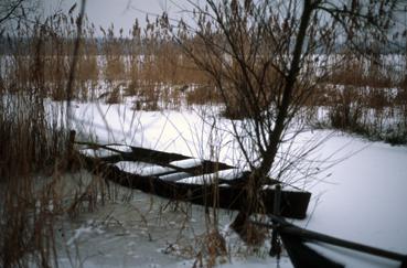 Iconographie - Lac de Grand-Lieu gelé à Passay en janvier