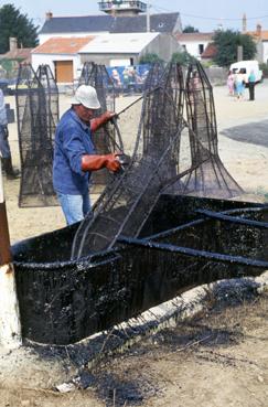Iconographie - Le dernier goudronnage de bosselles en septembre 1991