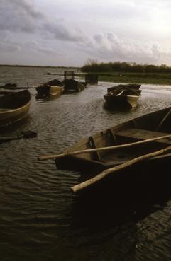 Iconographie - Plates du lac de Grand-Lieu au port d'été en avril