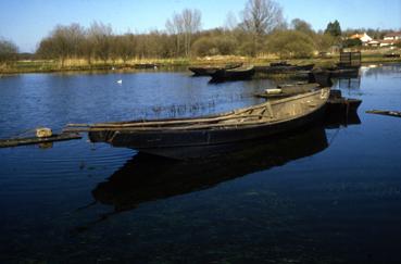 Iconographie - Plates du lac de Grand-Lieu au port d'été en avril