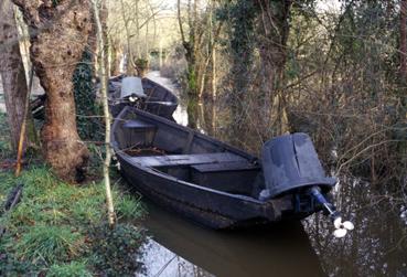 Iconographie - Protections des moteurs de plates