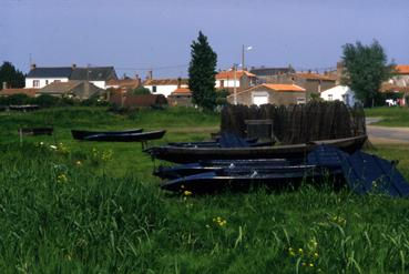 Iconographie - Yoles de chasse fraîchement goudronnées