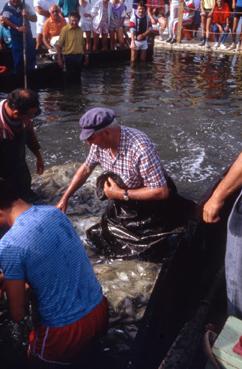 Iconographie - Fête des Pêcheurs en août 1987