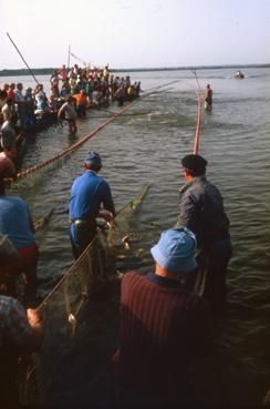 Iconographie - Fête des Pêcheurs en août 1987