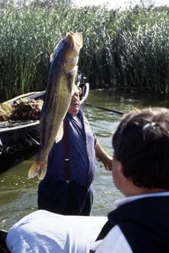 Iconographie - Fête des Pêcheurs en août 1988