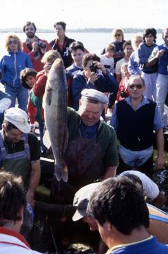 Iconographie - Fête des Pêcheurs en août 1988