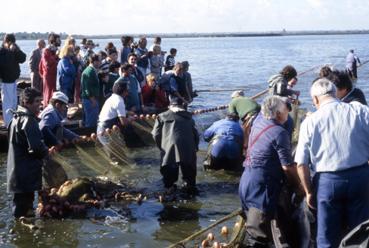 Iconographie - Fête des Pêcheurs en août 1988