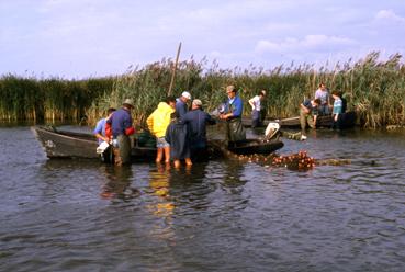 Iconographie - Fête des Pêcheurs en août 1989