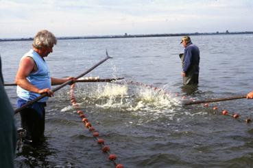 Iconographie - Fête des Pêcheurs en août 1992