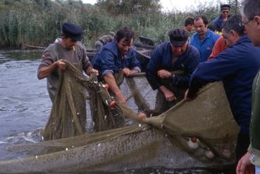 Iconographie - Fête des Pêcheurs en août 1992