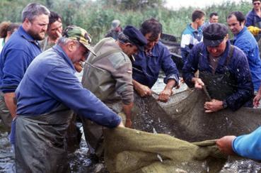 Iconographie - Fête des Pêcheurs en août 1992