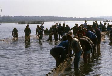 Iconographie - Fête des Pêcheurs en août 1994