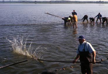 Iconographie - Fête des Pêcheurs en août 1994