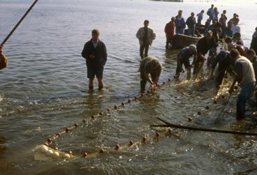 Iconographie - Fête des Pêcheurs en août 1994