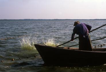 Iconographie - Fête des Pêcheurs en août 1995